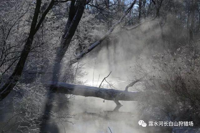 救援部落穴居人