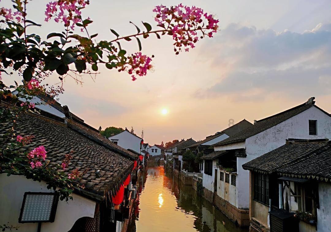 魏总 郑恺：充满喜剧色彩的显眼包式人物，海宁文化旅游推广大使